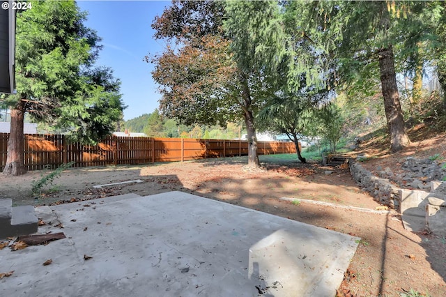 view of yard with a patio