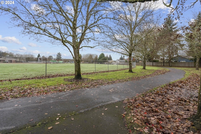 view of yard with a rural view