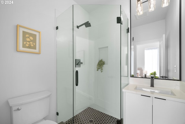 bathroom featuring a shower stall, toilet, and vanity