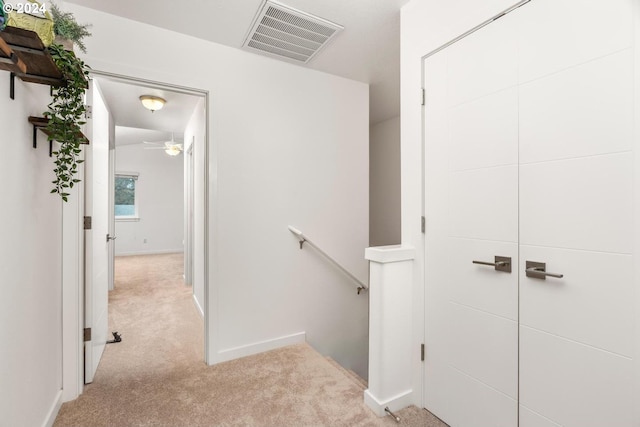 staircase featuring ceiling fan and carpet floors