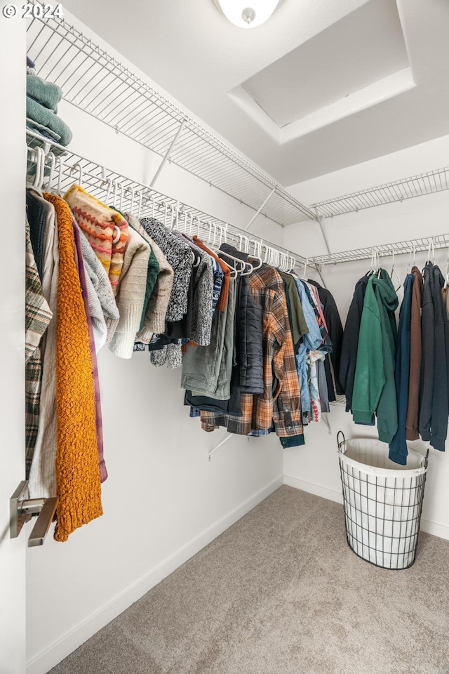 walk in closet with carpet and a tray ceiling