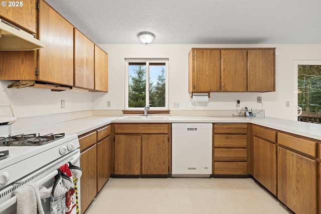 kitchen with under cabinet range hood, white appliances, a sink, light countertops, and brown cabinetry