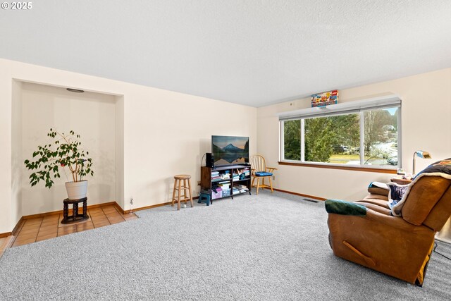 carpeted living room featuring a textured ceiling