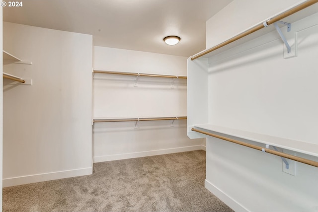 walk in closet featuring light carpet