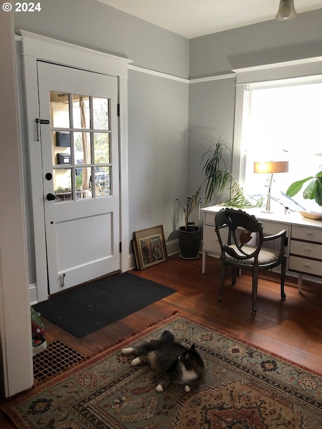 doorway to outside featuring dark wood-style floors