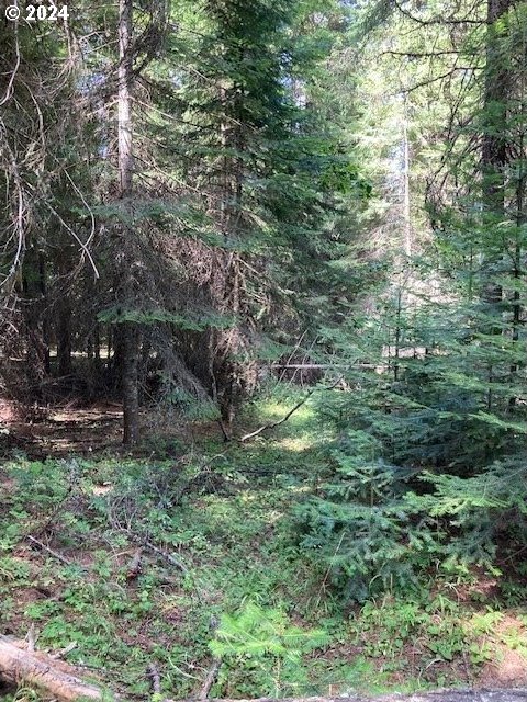 view of local wilderness featuring a forest view