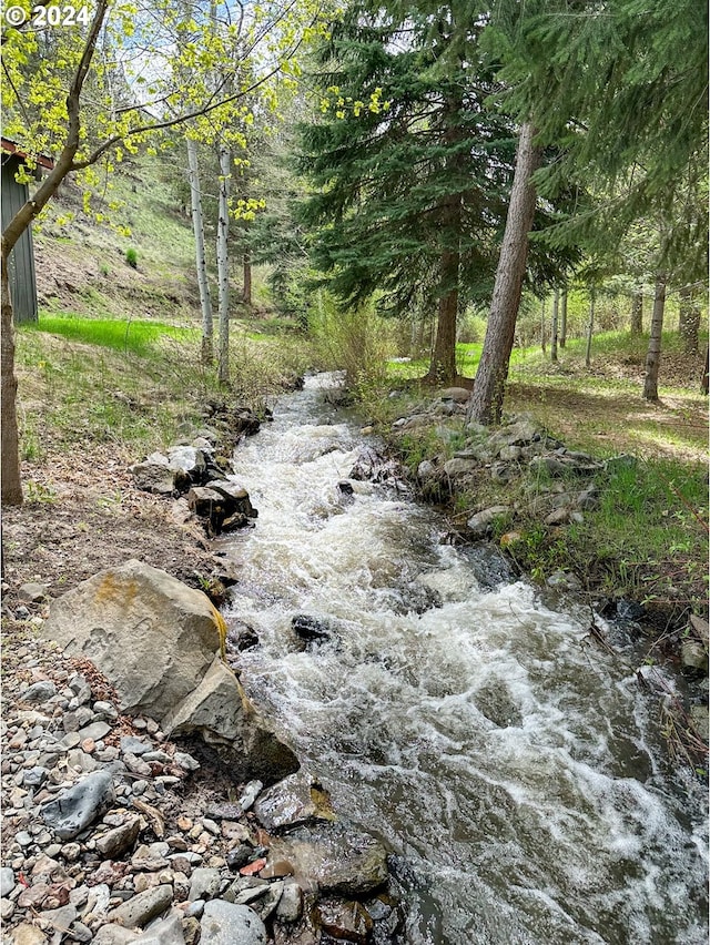 view of local wilderness