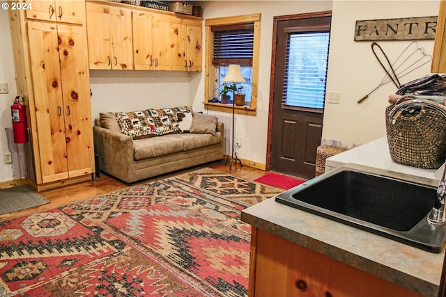 living room featuring sink and wood-type flooring