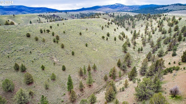 drone / aerial view with a mountain view