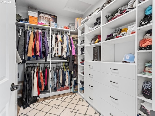 spacious closet featuring light hardwood / wood-style floors