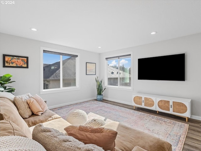 living room featuring hardwood / wood-style floors