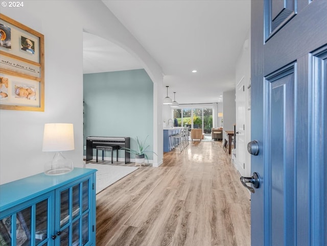 foyer entrance with wood-type flooring