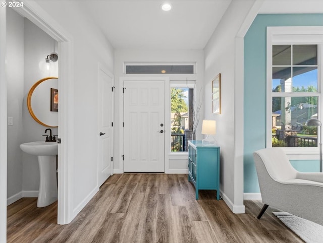 foyer with hardwood / wood-style flooring and sink