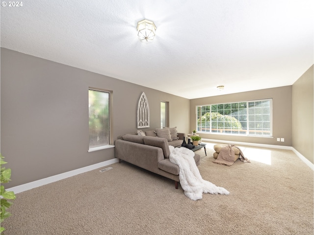 living room with carpet and a textured ceiling