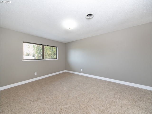 spare room with carpet and a textured ceiling