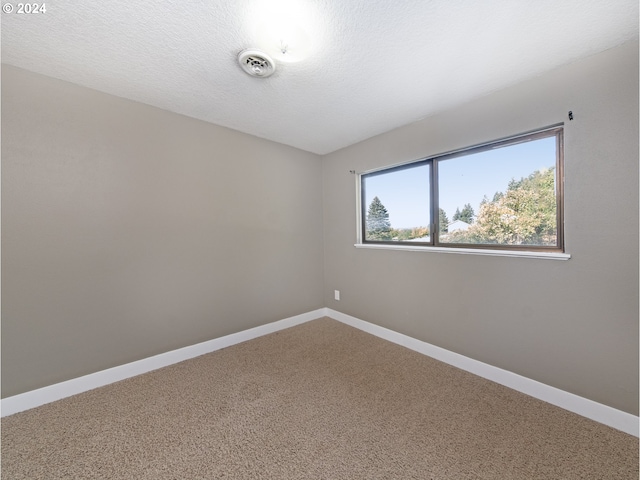 empty room with a textured ceiling and carpet flooring