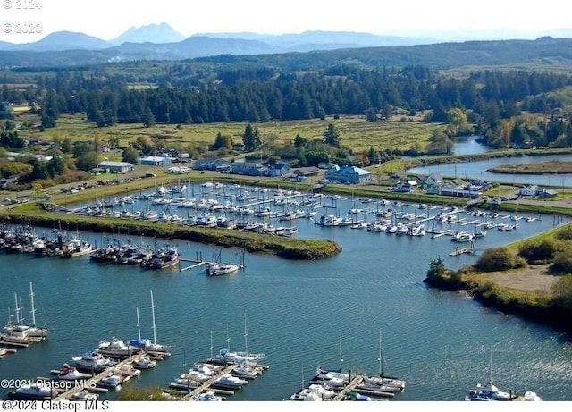 bird's eye view featuring a water and mountain view