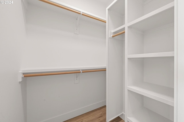 walk in closet with hardwood / wood-style flooring