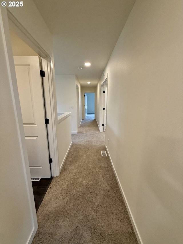 corridor with carpet flooring