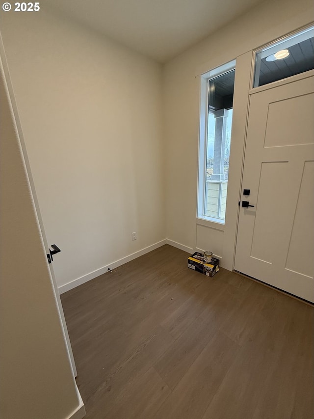 foyer with hardwood / wood-style floors