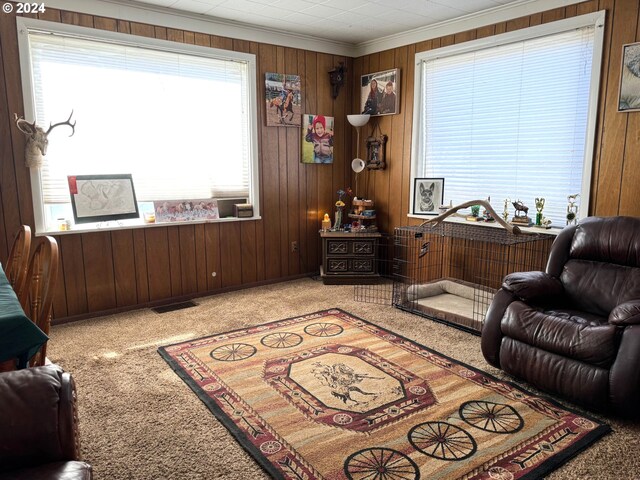 living area with carpet, healthy amount of natural light, ornamental molding, and wooden walls