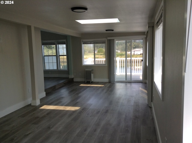 spare room with a skylight, dark hardwood / wood-style floors, and radiator heating unit