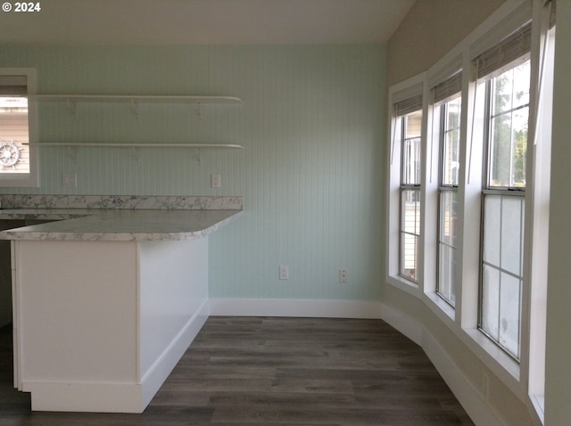 kitchen with dark hardwood / wood-style flooring