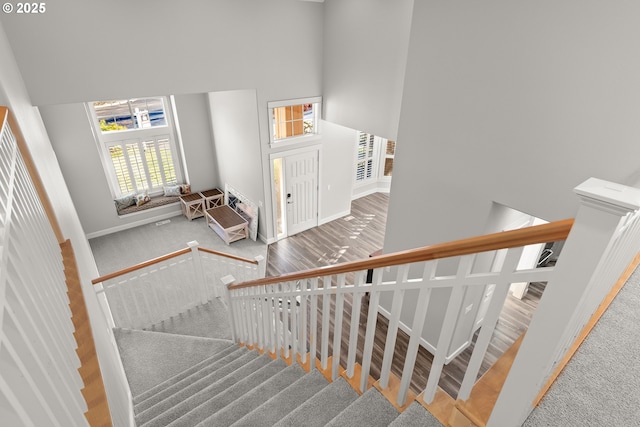 stairs with carpet flooring and a high ceiling