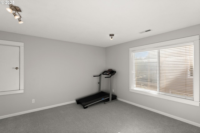 exercise room featuring carpet flooring