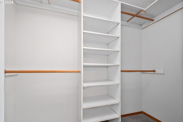 view of walk in closet