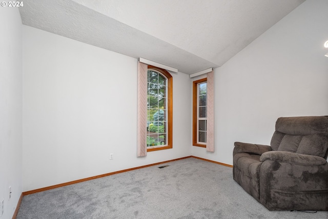 unfurnished room with a textured ceiling, carpet, and vaulted ceiling