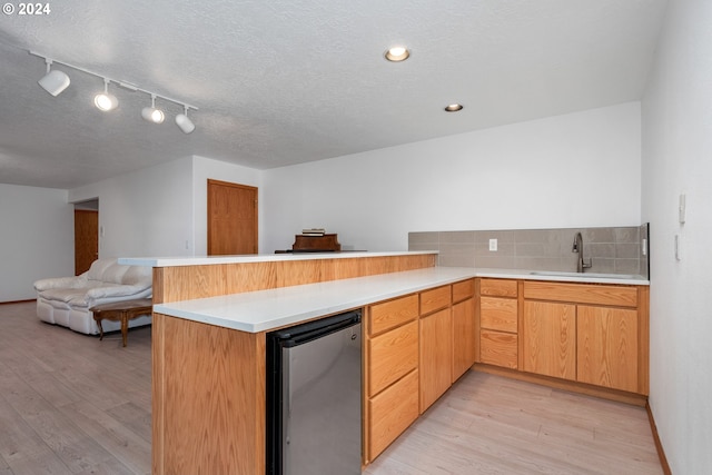 kitchen featuring light wood-type flooring, kitchen peninsula, sink, and decorative backsplash