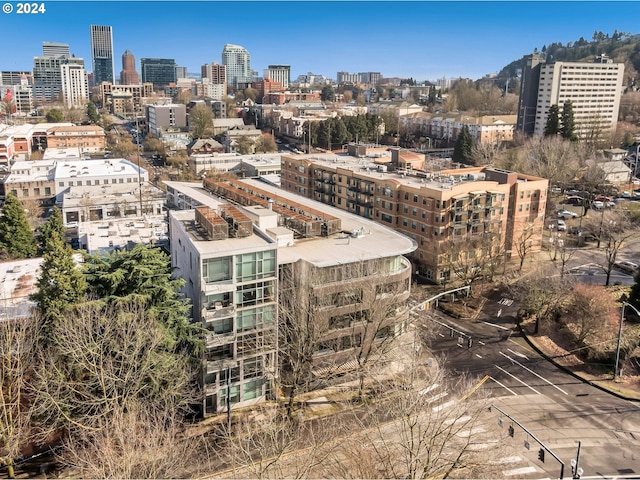 view of property's view of city