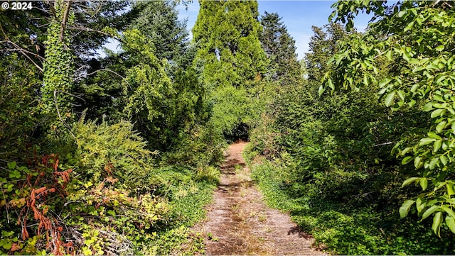 637 NW Skyline Crest Rd, Portland, OR 97229 - view of nature