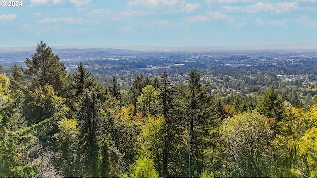 aerial view featuring a mountain view