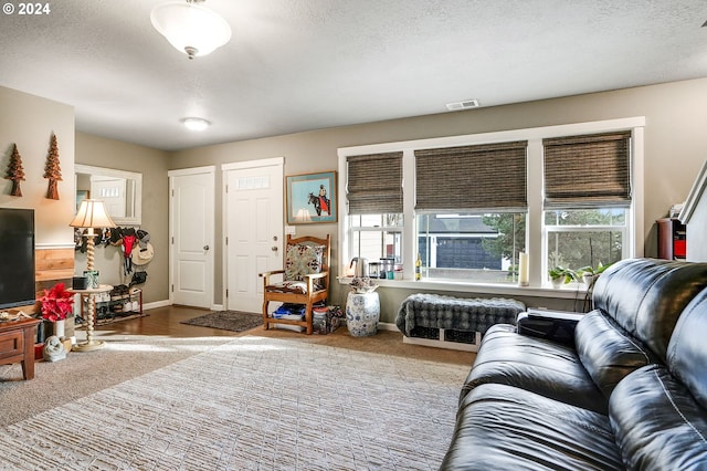 living room with carpet floors and a textured ceiling