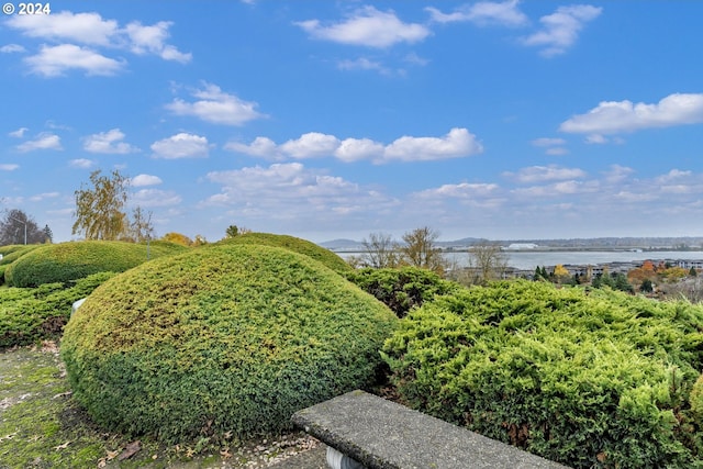 view of yard featuring a water view