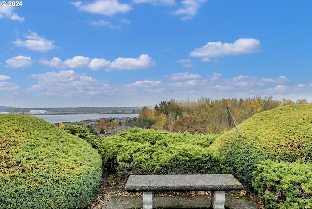 view of yard with a water view