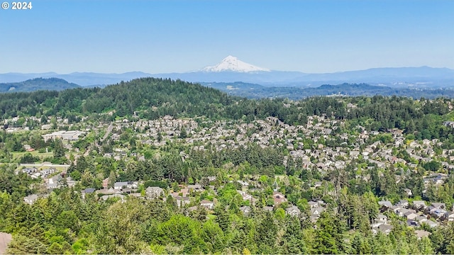 view of mountain feature