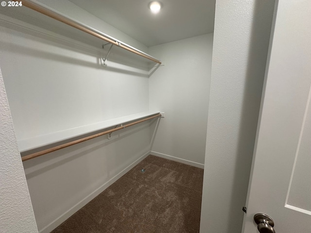 spacious closet featuring dark carpet