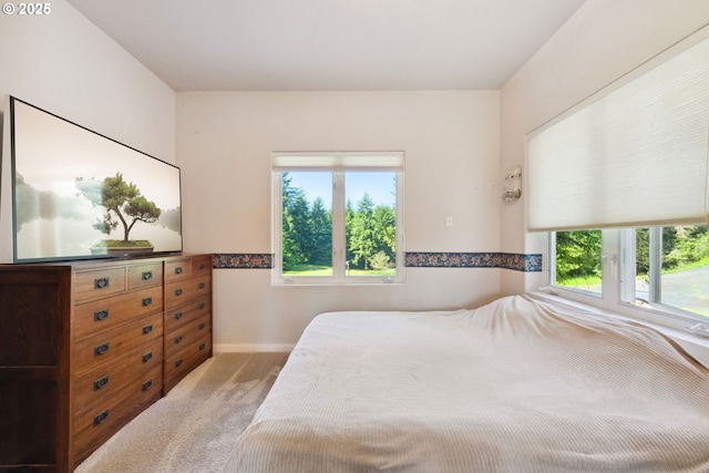 92631 Rainier Ln, Coos Bay, OR 97420 - bedroom with carpet floors