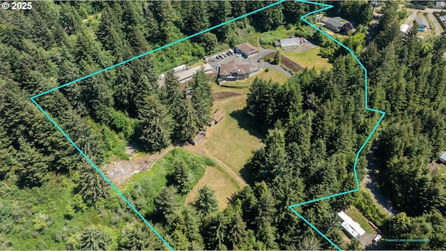 92631 Rainier Ln, Coos Bay, OR 97420 - aerial view of property's location featuring property parcel outlined