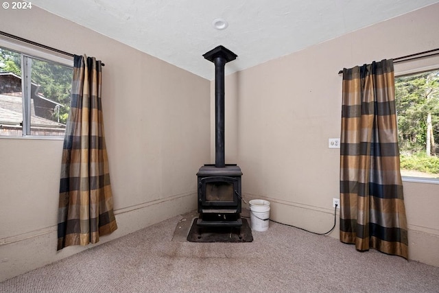 interior details featuring carpet and a wood stove