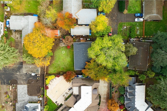 aerial view