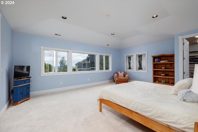 bedroom with a raised ceiling, light carpet, a spacious closet, and lofted ceiling