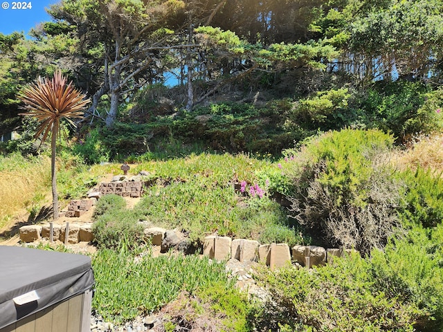 view of yard with a hot tub