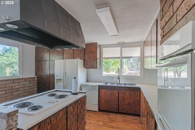 kitchen with wall chimney exhaust hood, light hardwood / wood-style floors, white appliances, and sink