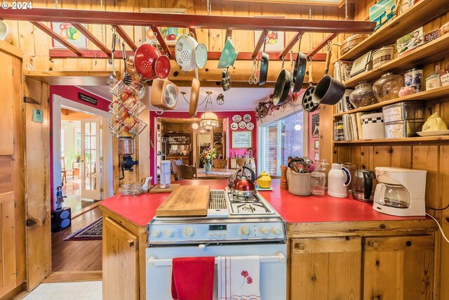 kitchen with stove and light wood-type flooring