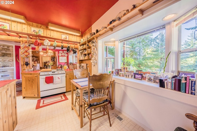 kitchen with a healthy amount of sunlight, white electric range oven, and kitchen peninsula