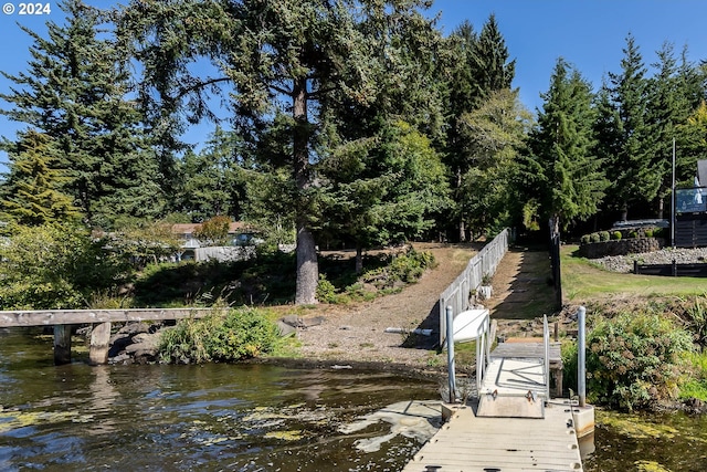 dock area with a water view